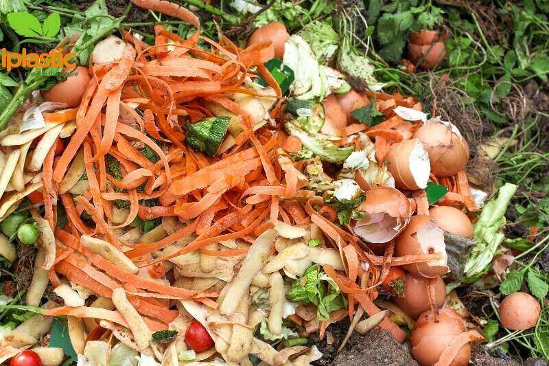 Biodegradable là gì ?
