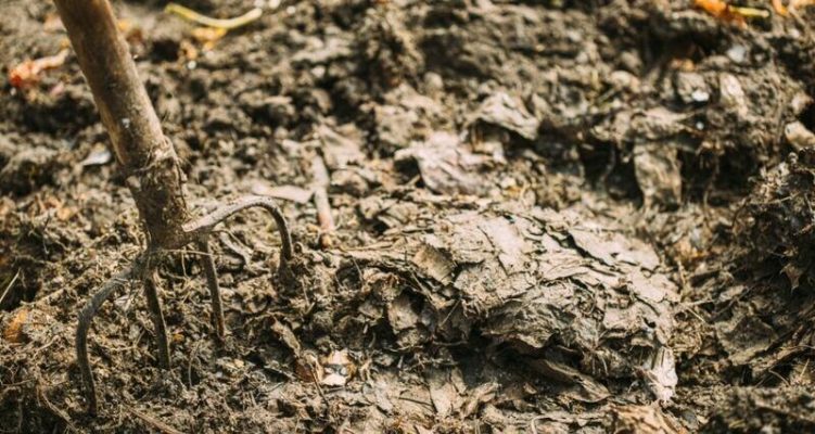 Quá trình phân huỷ của nhựa tự huỷ sinh học
